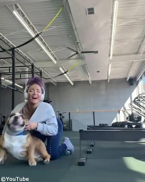 そこに入るの トレーニング中の女性を赤面させる犬 動画 年1月8日 エキサイトニュース