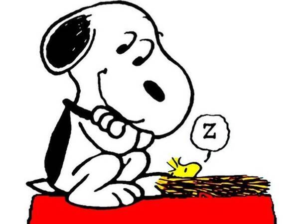 似てないはずの犬が 突然スヌーピーに見えるとき 偶然が生み出した写真 年4月8日 エキサイトニュース