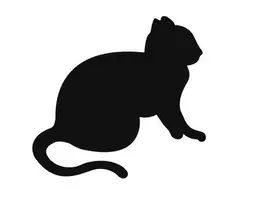 猫の夜鳴きで寝られない 解決方法を教えて 15年4月10日 エキサイトニュース