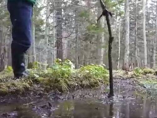 北海道の子供は 絶対に水たまりに入ってはいけない と教えられる その理由がこちら 2020年5月21日 エキサイトニュース