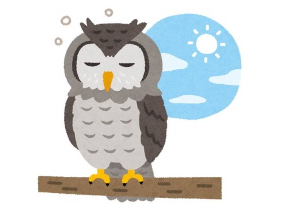 この姿は衝撃的 フクロウは頭が重いので 若い頃はうつぶせに寝ることがある 2020年6月22日 エキサイトニュース