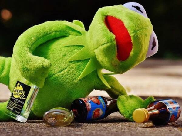 アメリカでお酒が飲める年齢は21歳からだけど これと比べると違和感があるよね 海外の反応 2020年9月6日 エキサイトニュース
