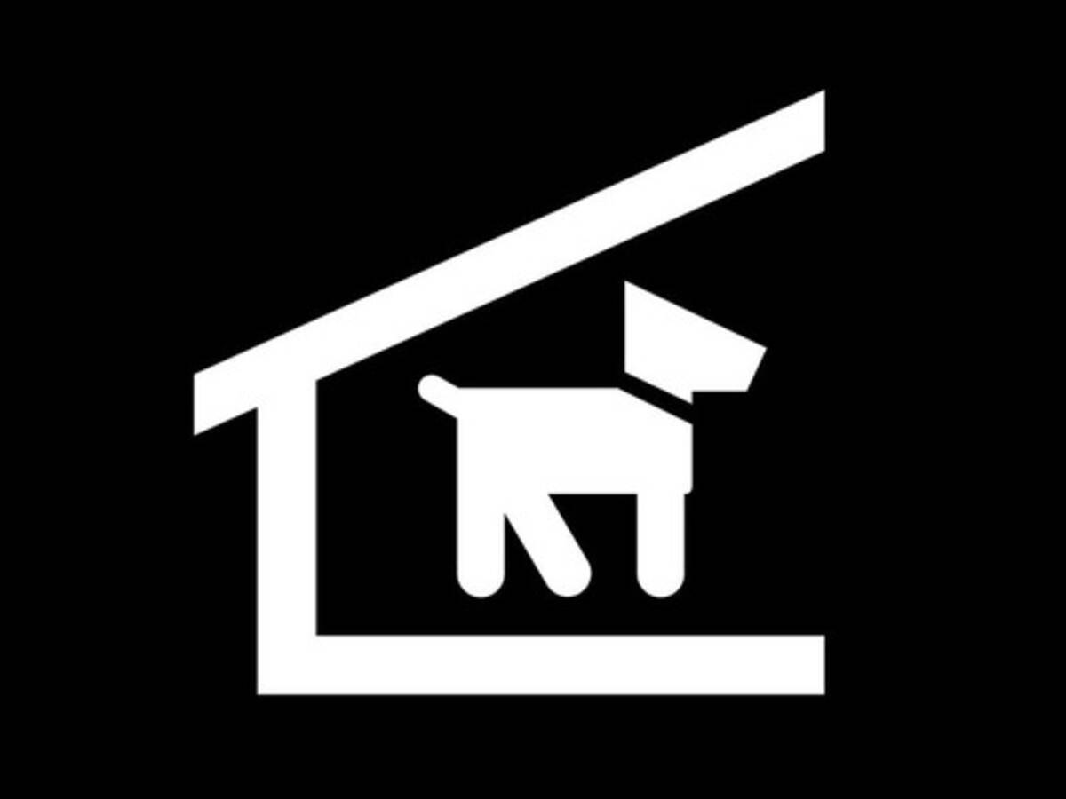 手術後の愛犬と添い寝をして 目が覚めたら起きていたこと とある飼い主のエピソード 年10月19日 エキサイトニュース