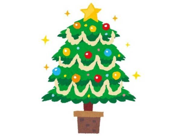 自宅に 透明なクリスマスツリー を飾ってみた 猫に狙われそうなデザイン 年12月9日 エキサイトニュース