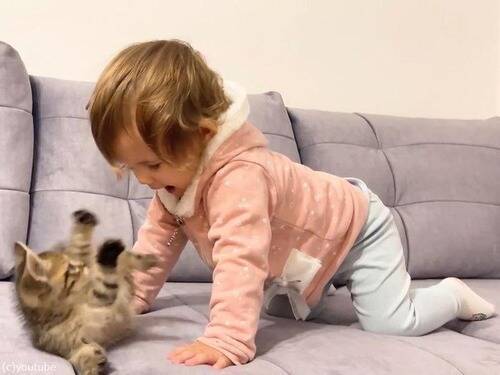 どちらも天使 子猫と女の子の赤ちゃんの初めての出会い 動画 21年1月27日 エキサイトニュース