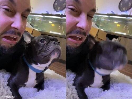 飼い主の真似が好きな犬 くしゃみ まで真似する 動画 21年2月8日 エキサイトニュース