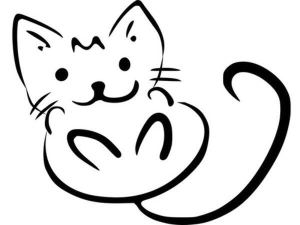 猫の驚きをこれほど表現できている写真もないと思う 21年7月3日 エキサイトニュース