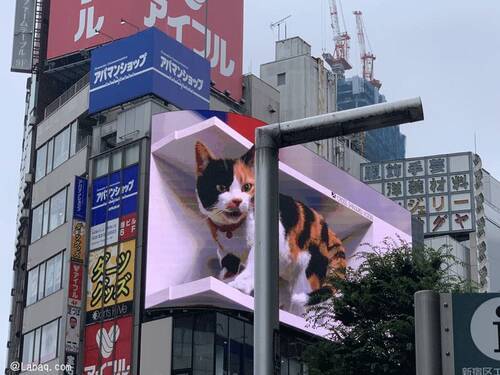 新宿の巨大な三毛猫 海外でも話題を集める 21年7月15日 エキサイトニュース