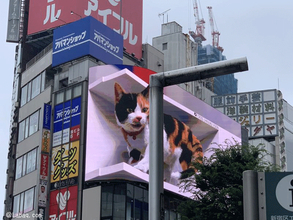 新宿の巨大な三毛猫、海外でも話題を集める