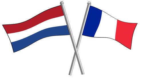 フランス国旗とオランダ国旗をデザインした枕の値段を見て もやもやした気持ちになった 21年9月4日 エキサイトニュース