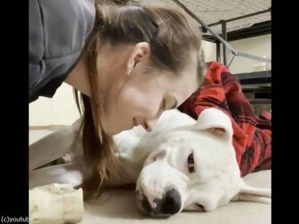 キスはいらない 犬が飼い主に小さな抵抗 動画 21年9月24日 エキサイトニュース