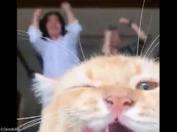 主役を奪う猫 カメラの前で踊る兄妹のダンスが台無しに 動画 21年9月30日 エキサイトニュース