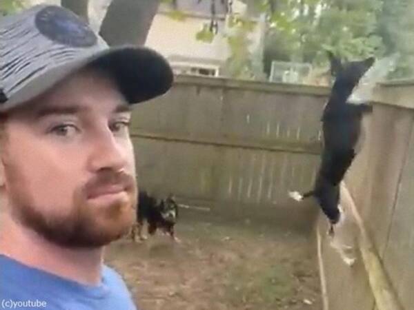 ジャンプ力がありすぎて塀が役に立たない犬 動画 21年10月13日 エキサイトニュース