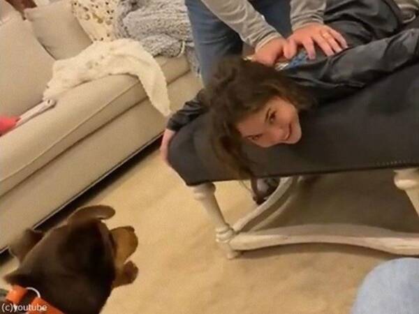 犬 ケンカはやめるんだ 孫娘のマッサージをするおじいちゃんを見て勘違い 動画 21年10月15日 エキサイトニュース