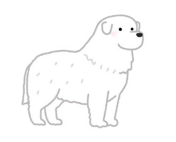 うちの犬を呼んでも来ない 珍しいと思ったら かわいい状況になっていた 22年1月16日 エキサイトニュース