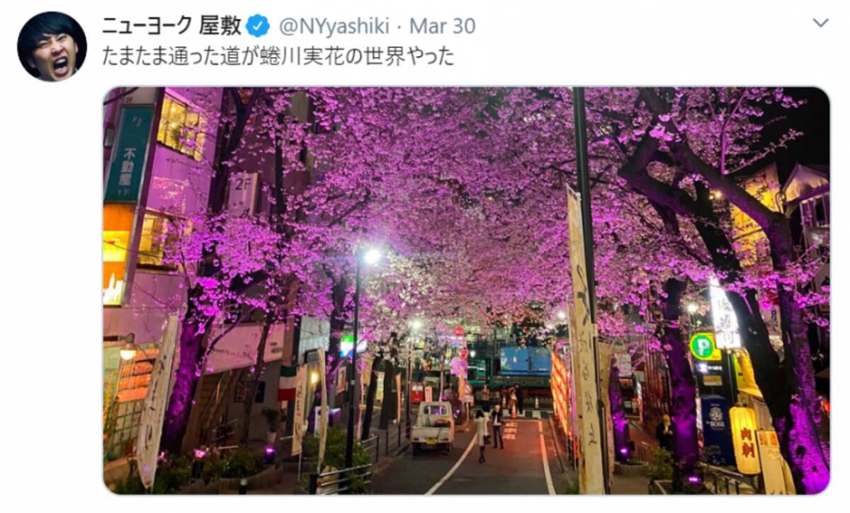 蜷川実花の世界 ニューヨーク屋敷が投稿した桜並木が 綺麗すぎる と話題 年4月10日 エキサイトニュース