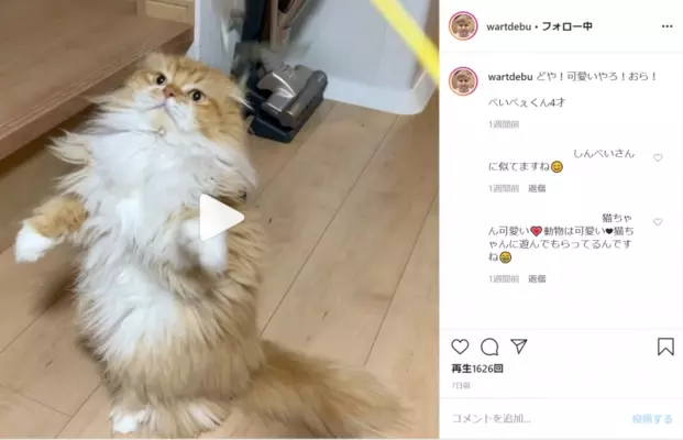 アメトーーク の 猫メロメロ芸人 に見る無駄 芸人にコスプレさせればおもしろいだろう という発想こそおもしろくない 15年8月22日 エキサイトニュース アメトーーク の 猫メロメロ芸人 に見る無駄 芸人にコスプレさせればおもしろいだろう という発想こそおもしろくない 15年8月22日 エキサイトニュース