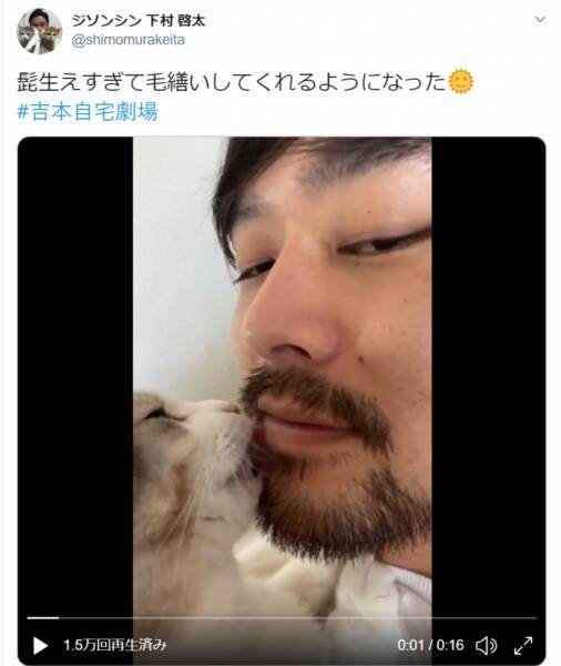 伸びたヒゲを“毛づくろい”？愛猫の一生懸命な姿が「かわいすぎ」と話題