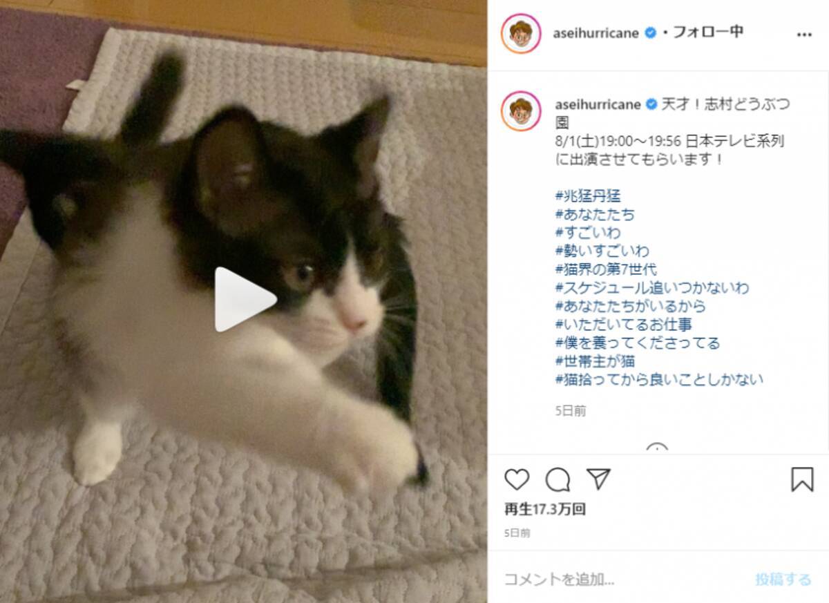 ミキ亜生 飼い猫のおかげで仕事急増 スケジュール追いつかないわ 年7月31日 エキサイトニュース