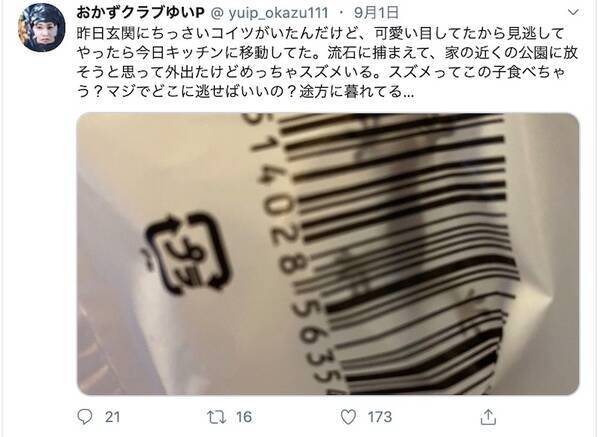 ゆいp 自宅に 侵入者 も 神対応に称賛の声 なんでそんなに優しいの 年9月11日 エキサイトニュース