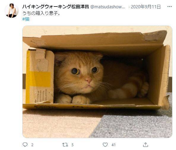 猫おもしろ画像 可愛すぎ 猫たちの奇跡の瞬間14選 21年8月2日 エキサイトニュース 3 5