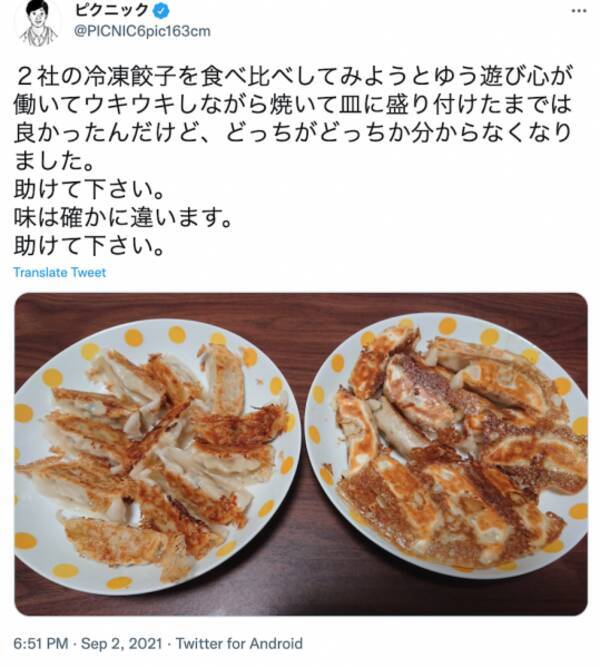 冷凍餃子の食べ比べをしたら 予想だにしない結末が待ち受けていた 助けて下さい 21年9月9日 エキサイトニュース