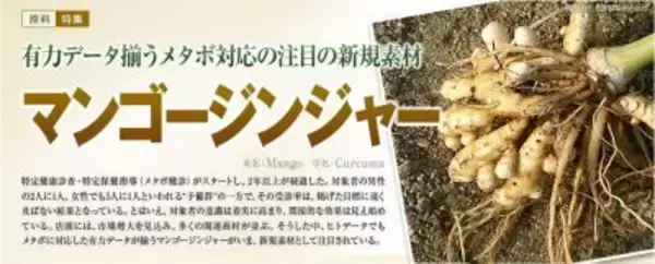 マンゴージンジャーがダイエットに効く！