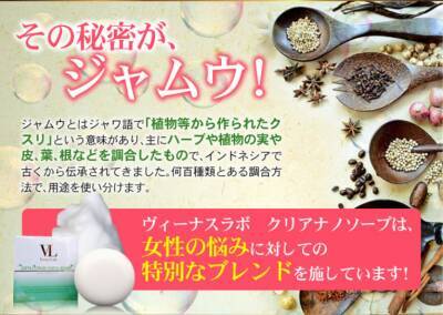 女性のデリケートゾーンの嫌なニオイ 黒ずみなどをケアする ヴィーナスラボ のボディ石鹸 13年1月26日 エキサイトニュース