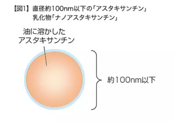 アスタキサンチンは微粒子化すると抗酸化力が高まる