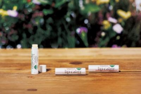 平子理沙がふっくらうるうる唇をキープするお気に入りリップクリームとは 16年11月30日 エキサイトニュース