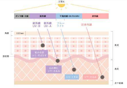 肌の「スマホ焼け」知ってますか？次世代ナイトクリームでブルーライトをケア！