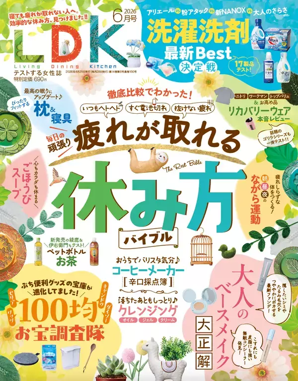 『LDK』6月号 効率的な休み方を徹底取材＆テスト