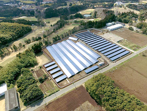 NTTファシリティーズ、独自工法を採用した太陽光発電所を竣工