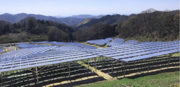 e-flat、愛媛県の⼤規模ソーラーシェアリング施設を公開