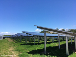 juwi自然電力オペレーション、営農と太陽光発電事業を両立するノウハウを提供