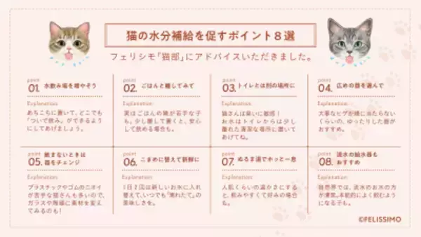 「猫の日に考える「猫と人のちょこちょこ飲み習慣」～コスモウォーター×フェリシモ「猫部」コラボキャンペーン実施～」の画像