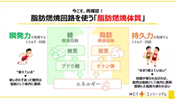 「脂肪燃焼体質をつくる「MCTオイル」で1日のパフォーマンスUPにつながる“最強の朝食レシピ”を紹介」の画像