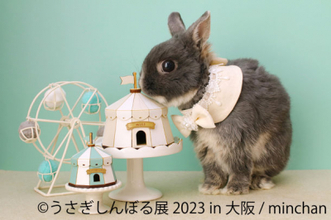 もふもふ可愛いうさぎ作品が集結「うさぎしんぼる展 2023」4月14日～4月23日開催！過去最大63組のクリエイターが競演