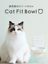 愛猫の「食べる」をもっと自然に、心地よく。 プラセス × ナラネコ 共同開発の壁付け猫用フードボウル 『Cat Fit Bowl』誕生！