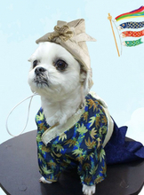 SNSでも話題沸騰中！端午の節句に向けた「袴風ペットウェア＆ペット用カブト」を販売開始