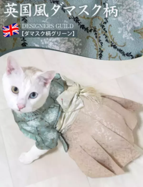 「SNSでも話題沸騰中！端午の節句に向けた「袴風ペットウェア＆ペット用カブト」を販売開始」の画像