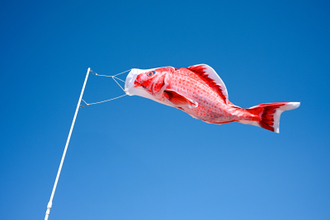 創業79年の鯉のぼりメーカーが空間演出へ 立体ディスプレイ「のぼり水族館」に新たに20種類を追加