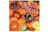 「おいしくてビタミン豊富な「みかん」が旬！たっぷり届く通販で冬の味覚を堪能」の画像2