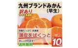 「おいしくてビタミン豊富な「みかん」が旬！たっぷり届く通販で冬の味覚を堪能」の画像3