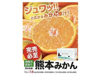 おいしくてビタミン豊富な「みかん」が旬！たっぷり届く通販で冬の味覚を堪能