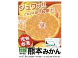 「おいしくてビタミン豊富な「みかん」が旬！たっぷり届く通販で冬の味覚を堪能」の画像4