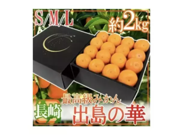 「おいしくてビタミン豊富な「みかん」が旬！たっぷり届く通販で冬の味覚を堪能」の画像