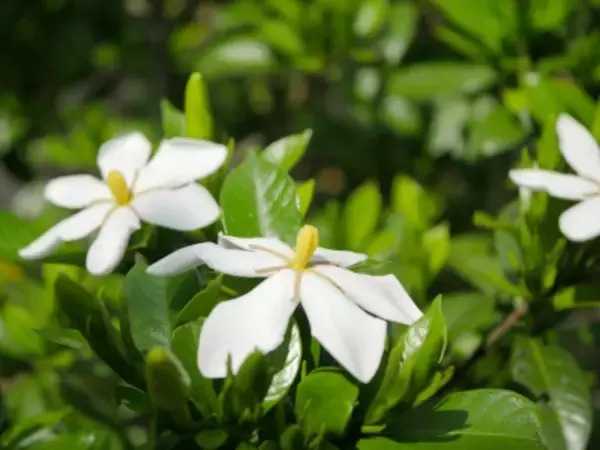 「忙しい日々に寄り添う“心地よい潤いケア”　メナードTKが新処方でリニューアル」の画像