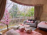 「＜1日1棟限定＞ 花粉・寒さゼロの「インドアお花見」×「夜桜BBQ」でW満喫！ブリリアントヴィレッジ日光、春限定プランを3/9より期間限定スタート」の画像1