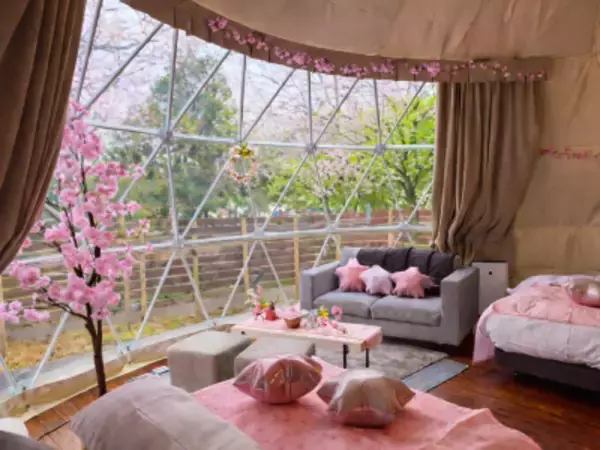 ＜1日1棟限定＞ 花粉・寒さゼロの「インドアお花見」×「夜桜BBQ」でW満喫！ブリリアントヴィレッジ日光、春限定プランを3/9より期間限定スタート